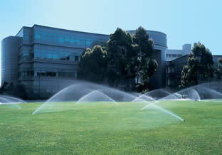 Boring Contractors Irrigation | Commercial Irrigating System Boring Contractors Irrigation | Commercial Irrigating System