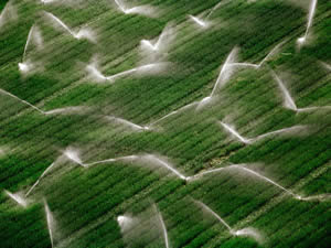 Boring Contractors Irrigation | Farm Valley Field River Irrigating Systems Boring Contractors Irrigation | Farm Valley Field River Irrigating Systems